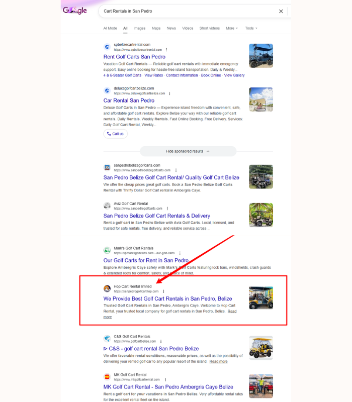 On‑Page SEO & Google Profile Optimization service